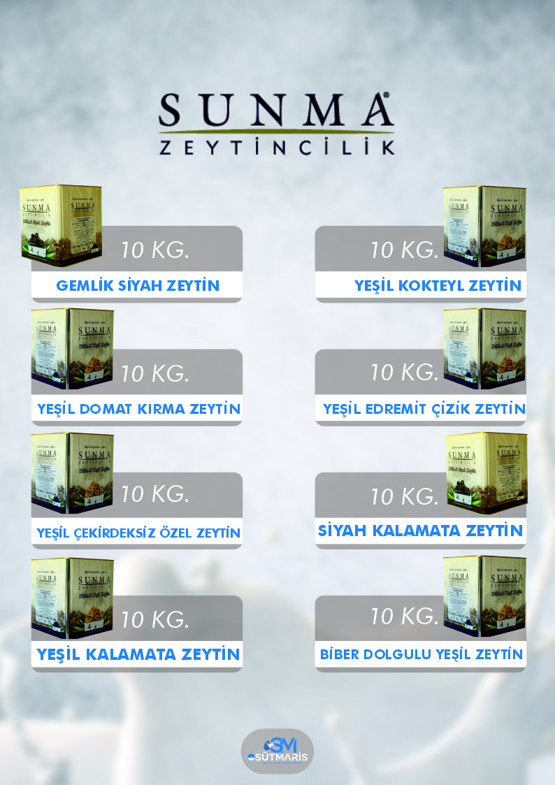 Sayfa 20