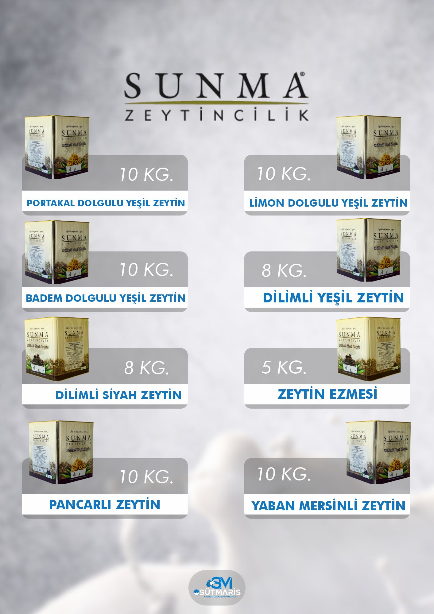 Sayfa 21